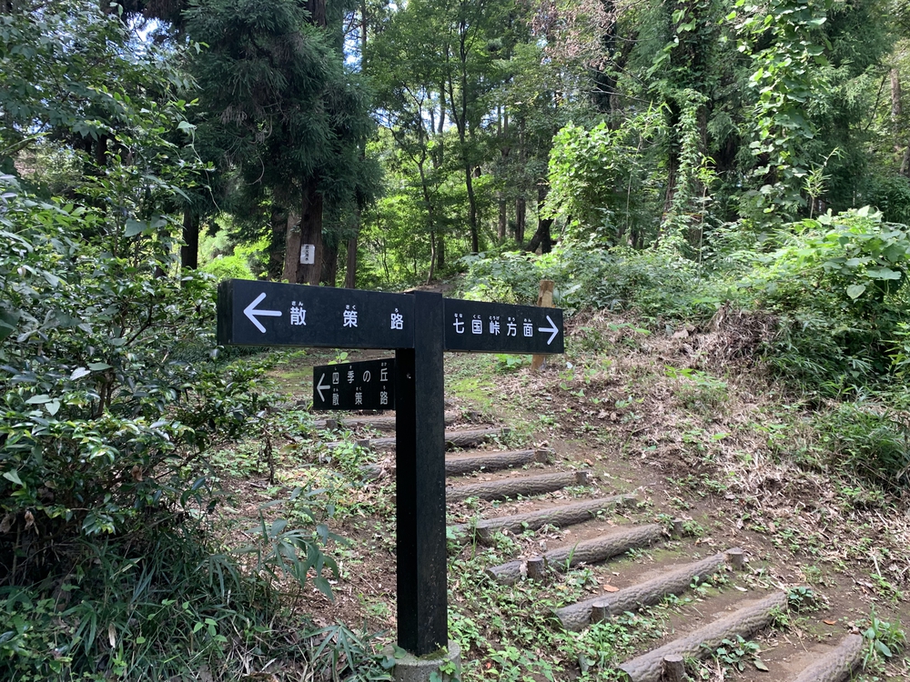 穴場！相原中央公園の散策路から自由気ままに🏃‍♂️の写真8