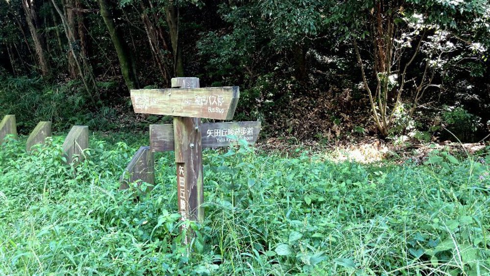 【矢田丘陵】縦走して法隆寺への写真3