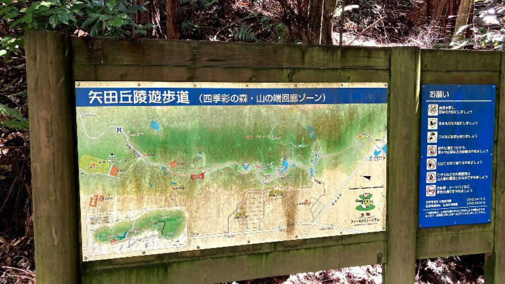 【矢田丘陵】縦走して法隆寺への写真4