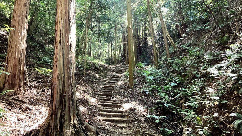 【矢田丘陵】縦走して法隆寺への写真5