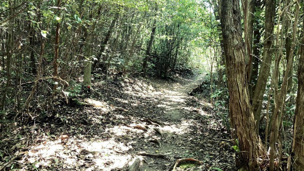 【矢田丘陵】縦走して法隆寺への写真6