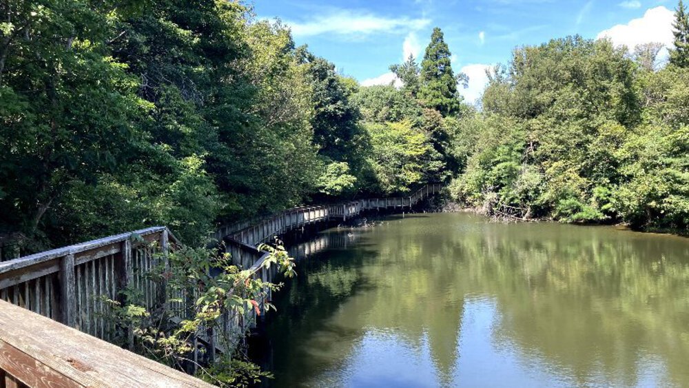 【矢田丘陵】縦走して法隆寺への写真7