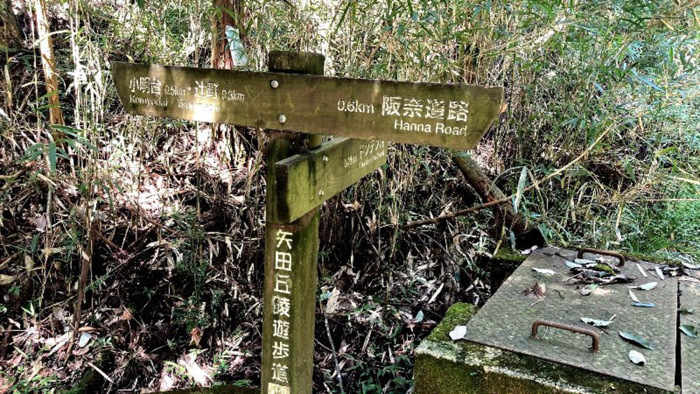 【矢田丘陵】縦走して法隆寺への写真8