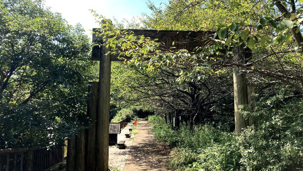 【矢田丘陵】縦走して法隆寺への写真10