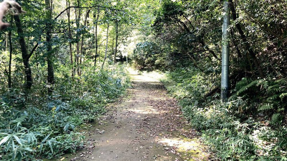 【矢田丘陵】縦走して法隆寺への写真11
