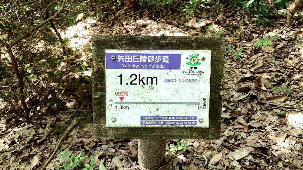 【矢田丘陵】縦走して法隆寺への写真14