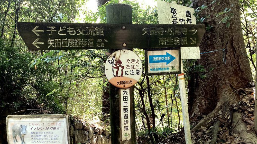 【矢田丘陵】縦走して法隆寺への写真21