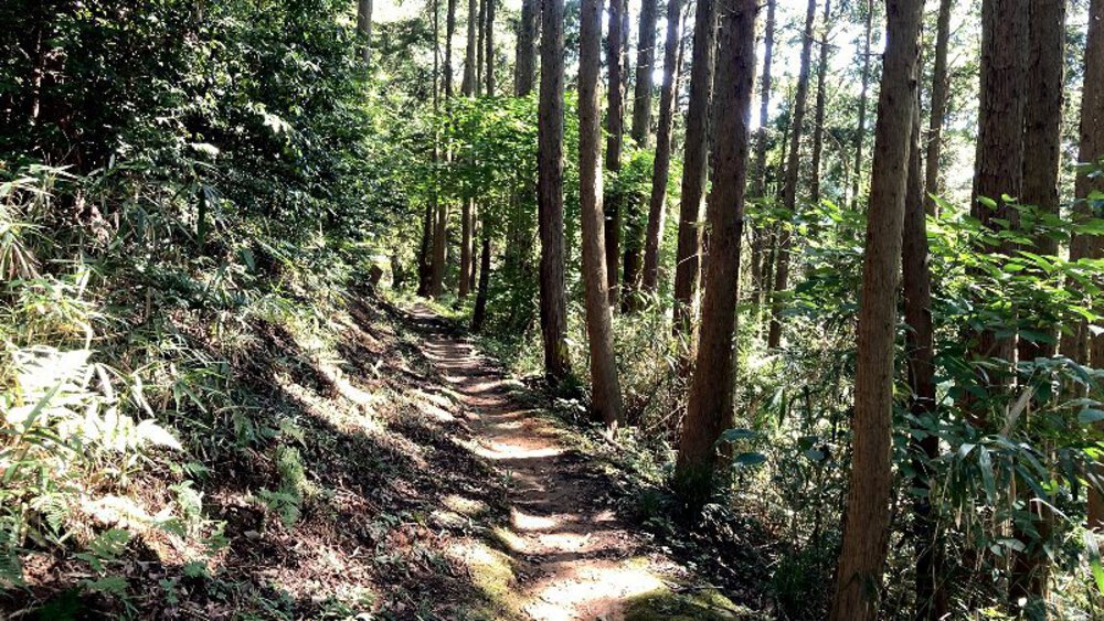 【矢田丘陵】縦走して法隆寺への写真22