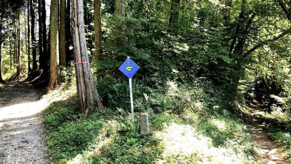 【矢田丘陵】縦走して法隆寺への写真23