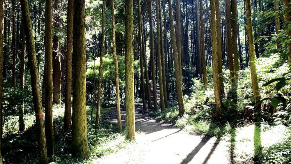 【矢田丘陵】縦走して法隆寺への写真24