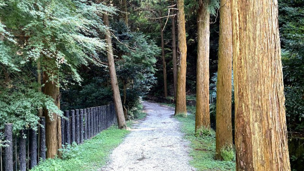 【矢田丘陵】縦走して法隆寺への写真30