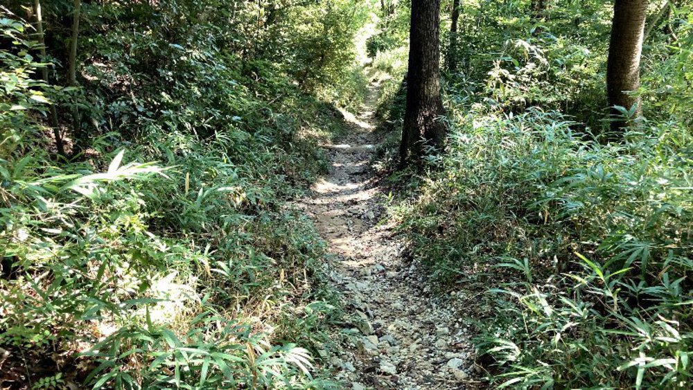 【矢田丘陵】縦走して法隆寺への写真31