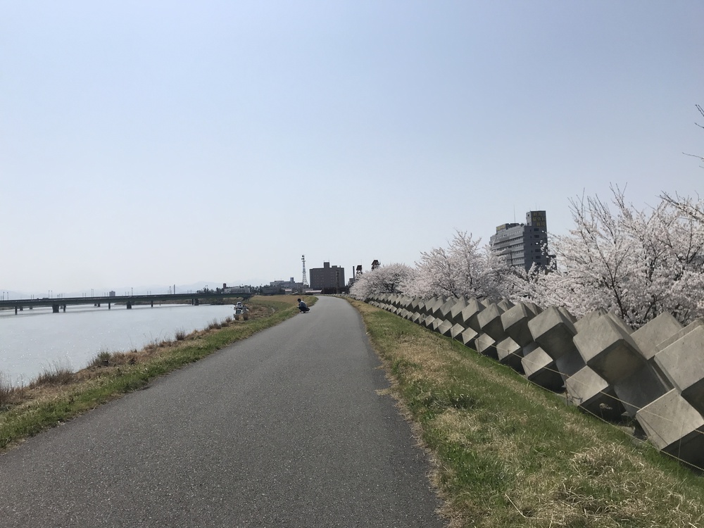 萬代橋を起点にハーフマラソンの写真4