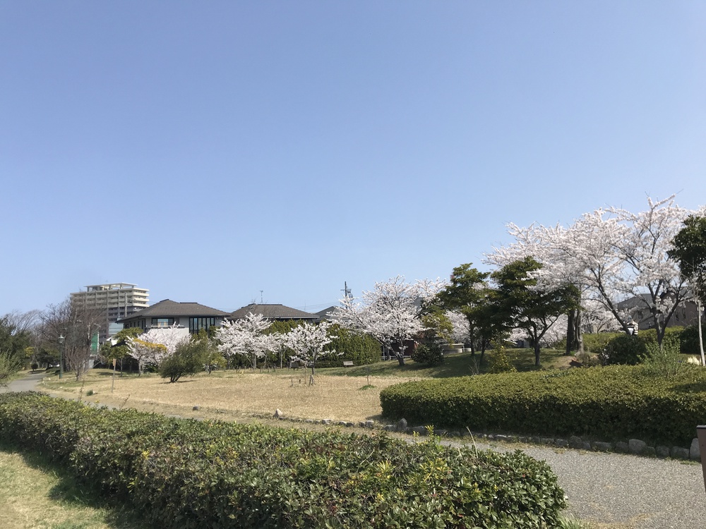 萬代橋を起点にハーフマラソンの写真5