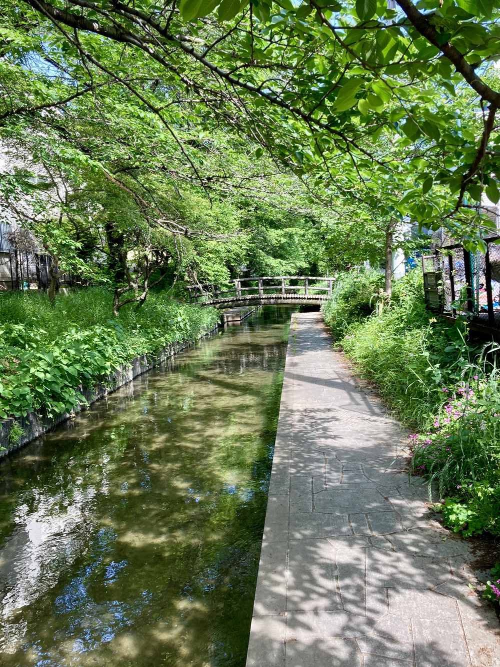 二子橋から多摩水道橋へのとっておきルートの写真3