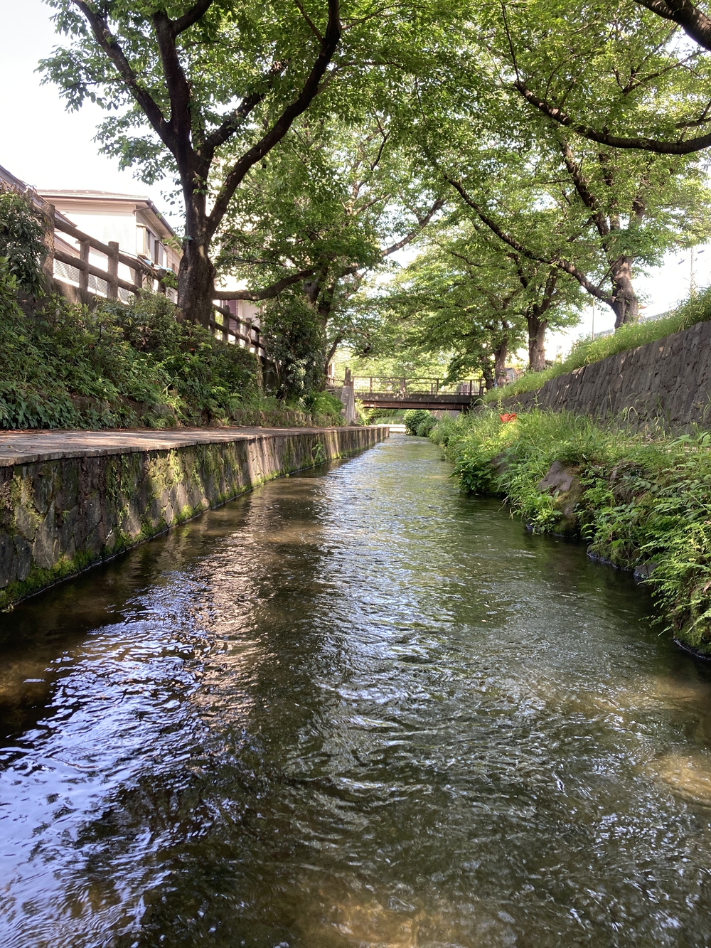 二子橋から多摩水道橋へのとっておきルートの写真4