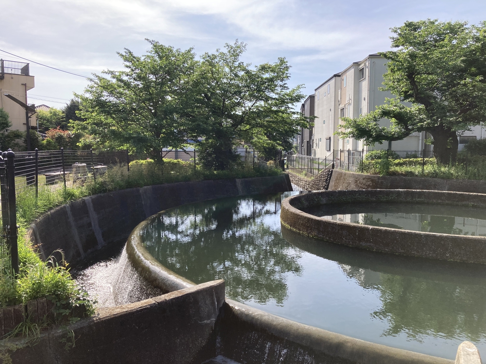 二子橋から多摩水道橋へのとっておきルートの写真5