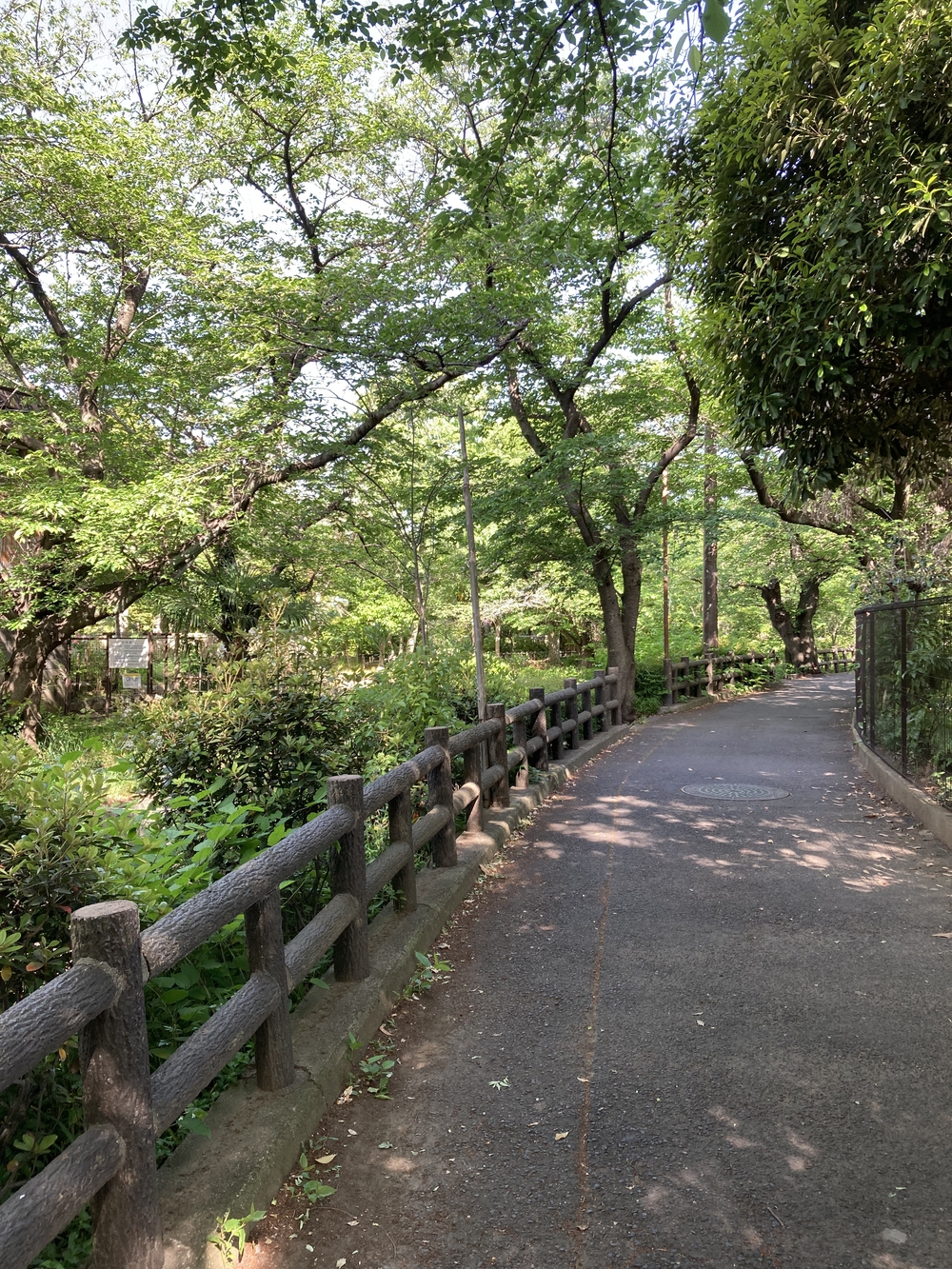 二子橋から多摩水道橋へのとっておきルートの写真6