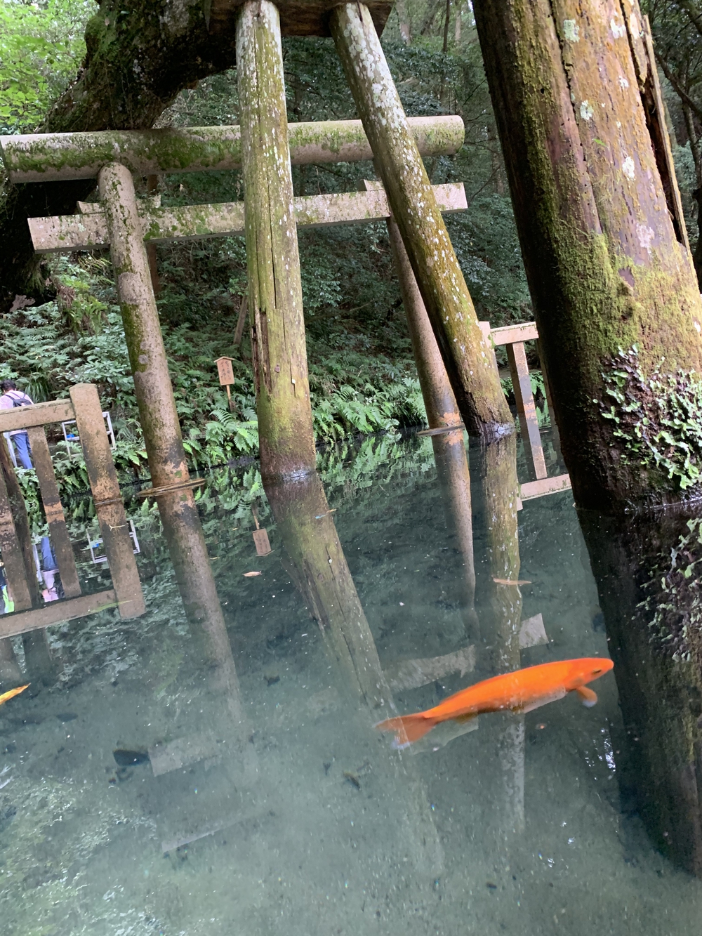 【月一沿線倶楽部】JR鹿島線　香取潮来鹿島神宮の旅の写真5