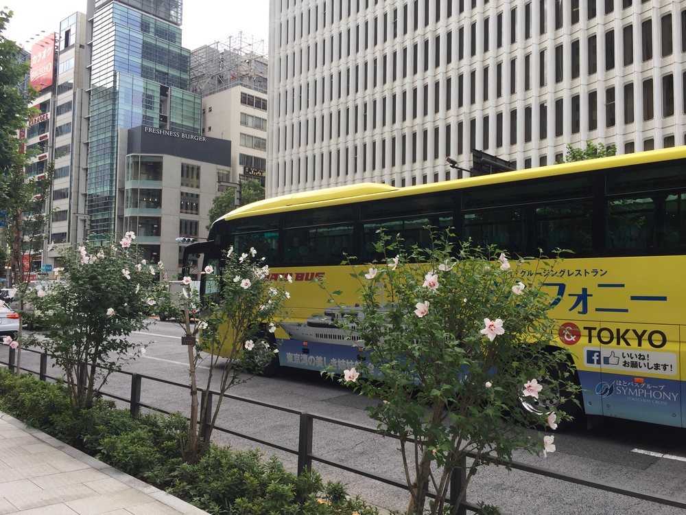 日比谷公園〜自由大学　都内の名所を巡る観光Runtripの写真12