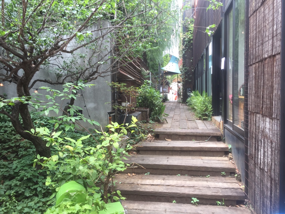 日比谷公園〜自由大学　都内の名所を巡る観光Runtripの写真13