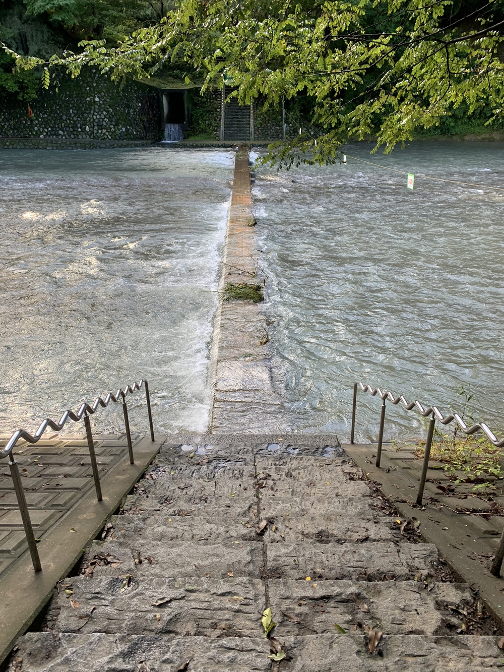 【トレイル】日高 巾着田曼珠沙華1wayの写真4