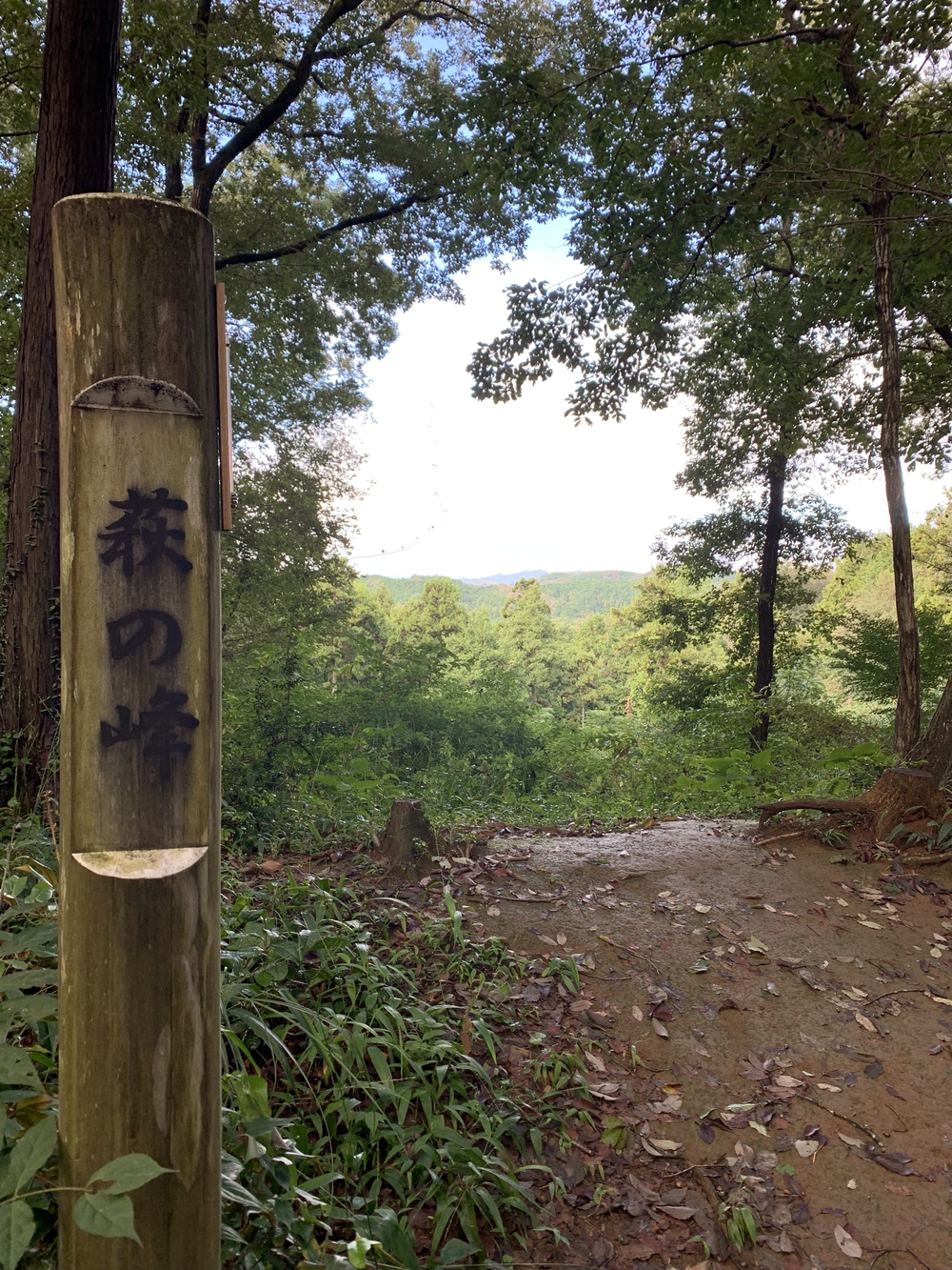 【トレイル】日高 巾着田曼珠沙華1wayの写真10