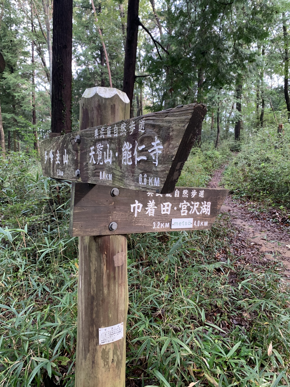 【トレイル】日高 巾着田曼珠沙華1wayの写真12