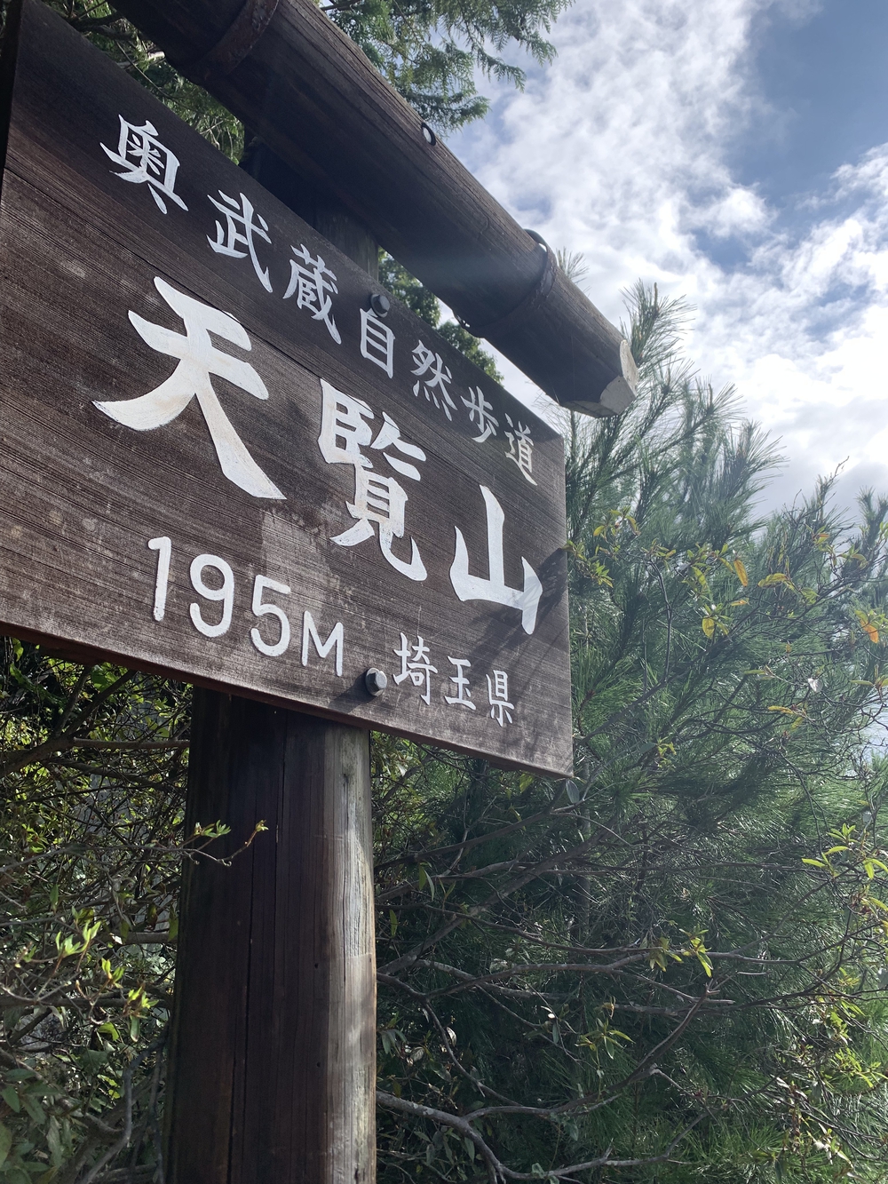 【トレイル】日高 巾着田曼珠沙華1wayの写真16