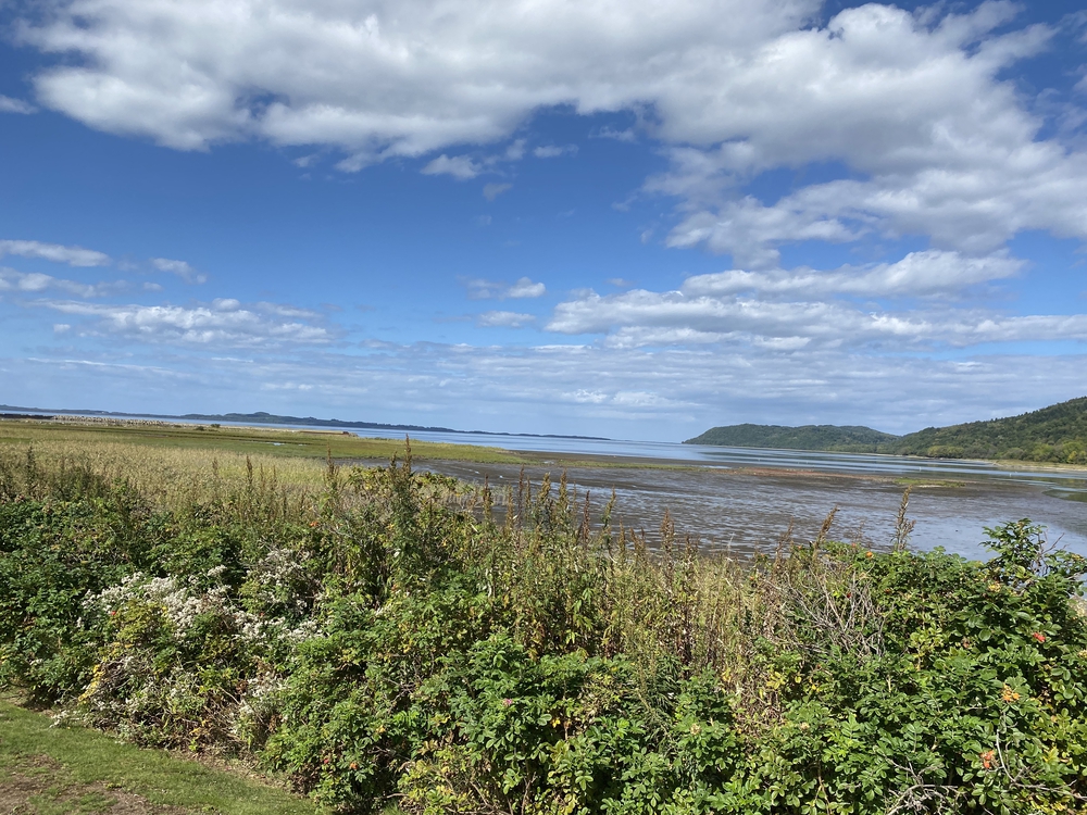 オホーツク網走マラソンのコース（　　最高に素敵なコースです）の写真7