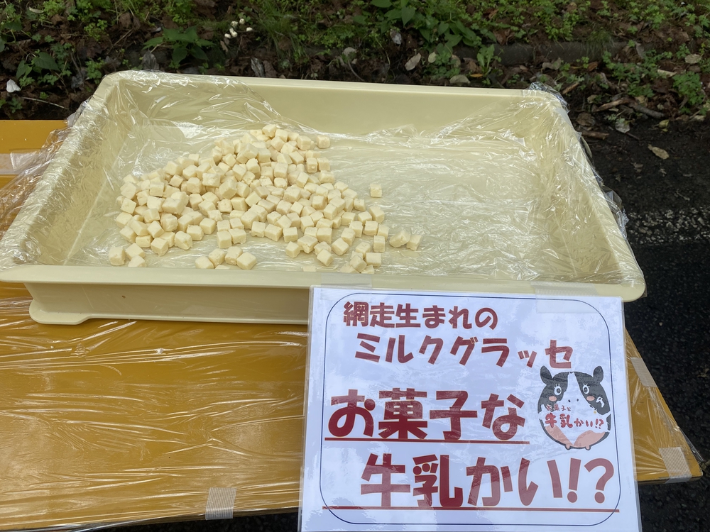 オホーツク網走マラソンのコース（　　最高に素敵なコースです）の写真19