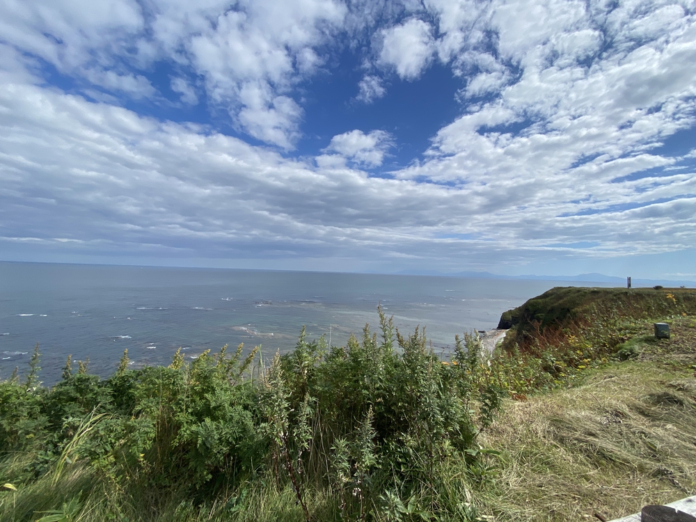 オホーツク網走マラソンのコース（　　最高に素敵なコースです）の写真31