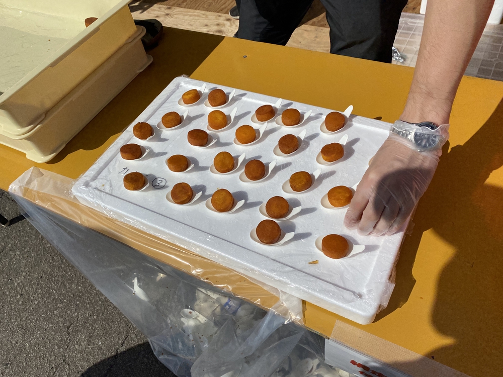 オホーツク網走マラソンのコース（　　最高に素敵なコースです）の写真34