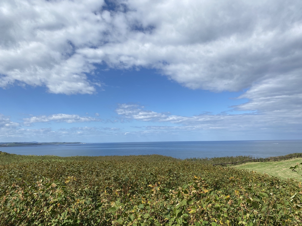 オホーツク網走マラソンのコース（　　最高に素敵なコースです）の写真38