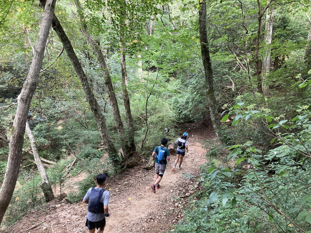 六甲最高！はじめて走るならこのコースの写真4