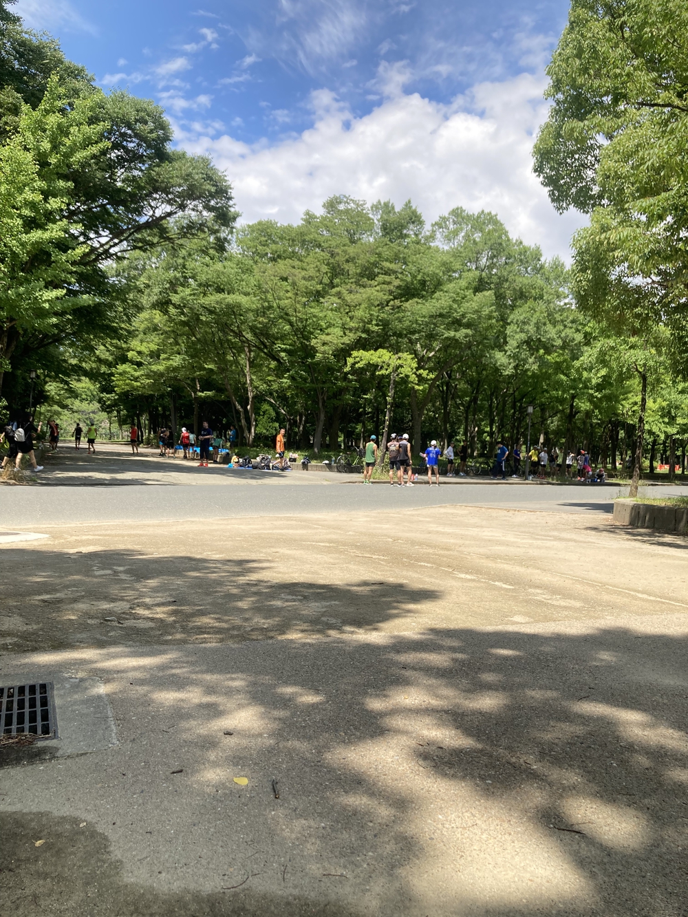 大阪城　城攻めコースの写真3