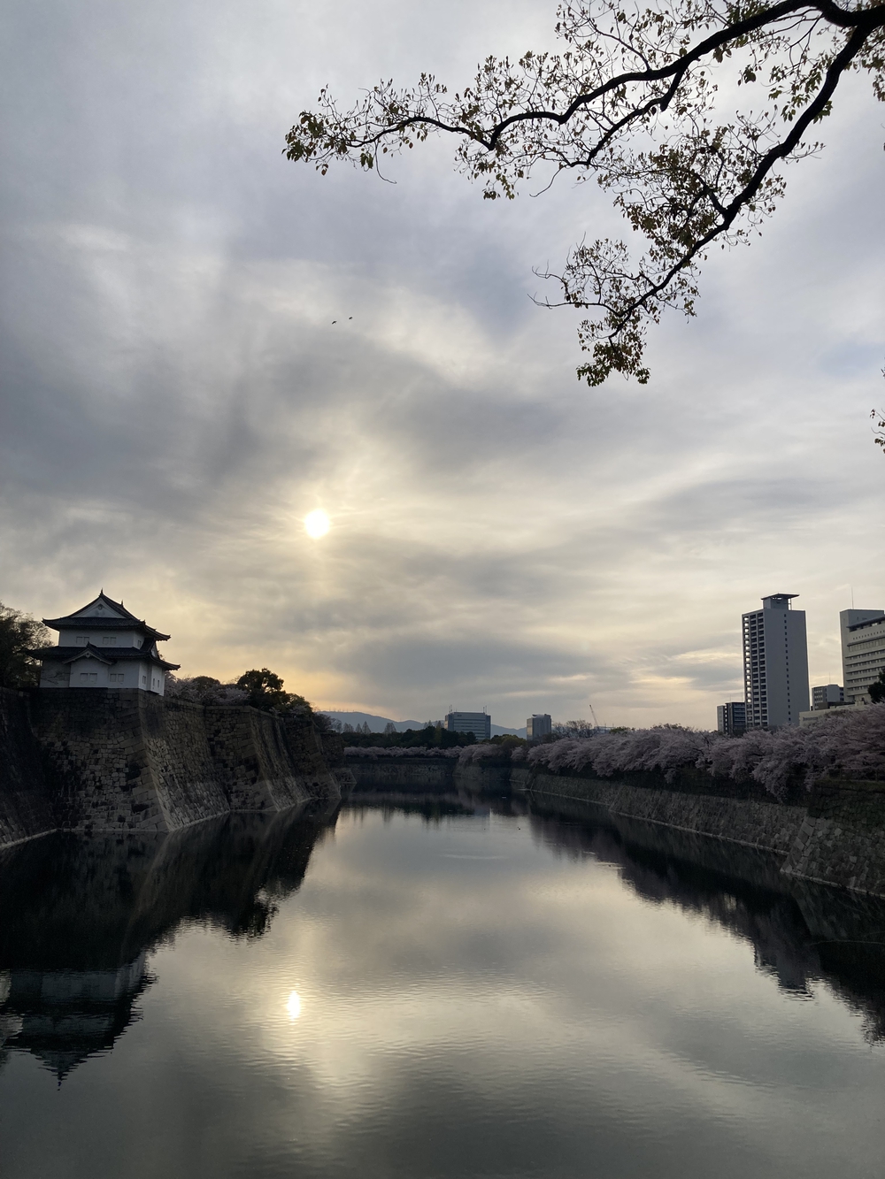 大阪城　城攻めコースの写真8