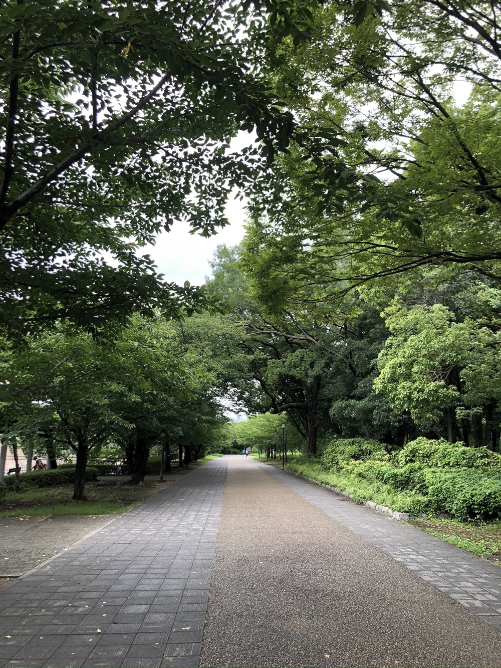 大阪城　城攻めコースの写真9