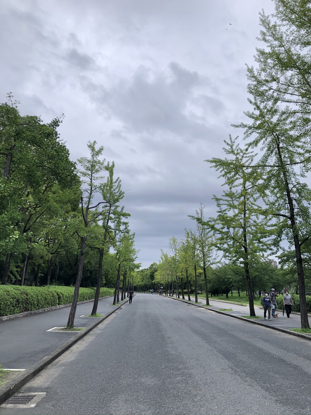 大阪城　城攻めコースの写真10