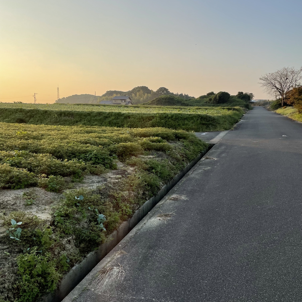 おおぶウォーキングコースを走ってみた3の写真6