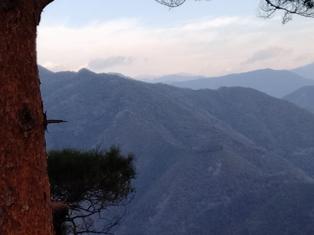 黒岩スカイライン（トレラン）の写真4