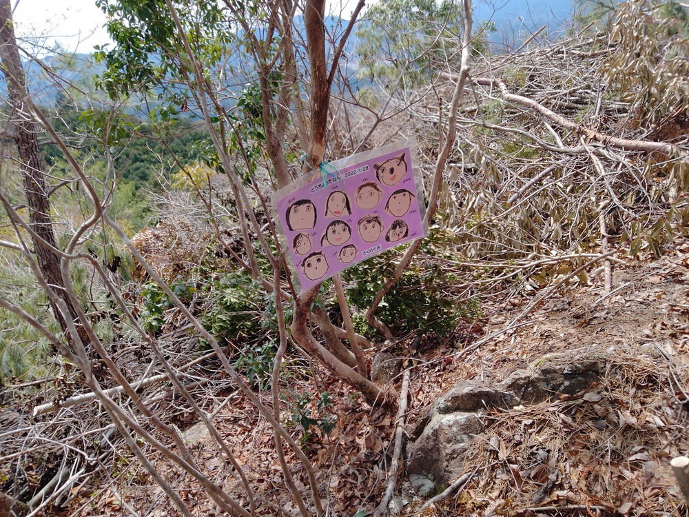 黒岩スカイライン（トレラン）の写真6