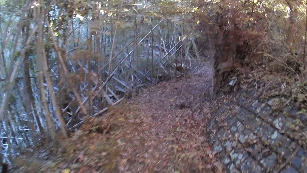 静岡県、西伊豆海岸土肥温泉から恋人岬へ群青の海岸線を望む１５キロのランニングの写真8