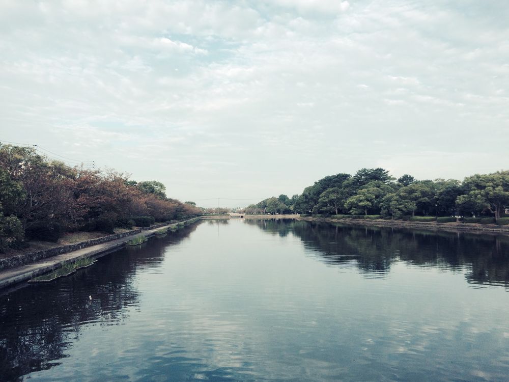 お堀好き必走！佐賀城周辺コースの写真3