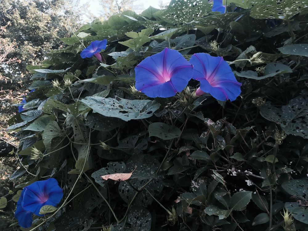 お堀好き必走！佐賀城周辺コースの写真4