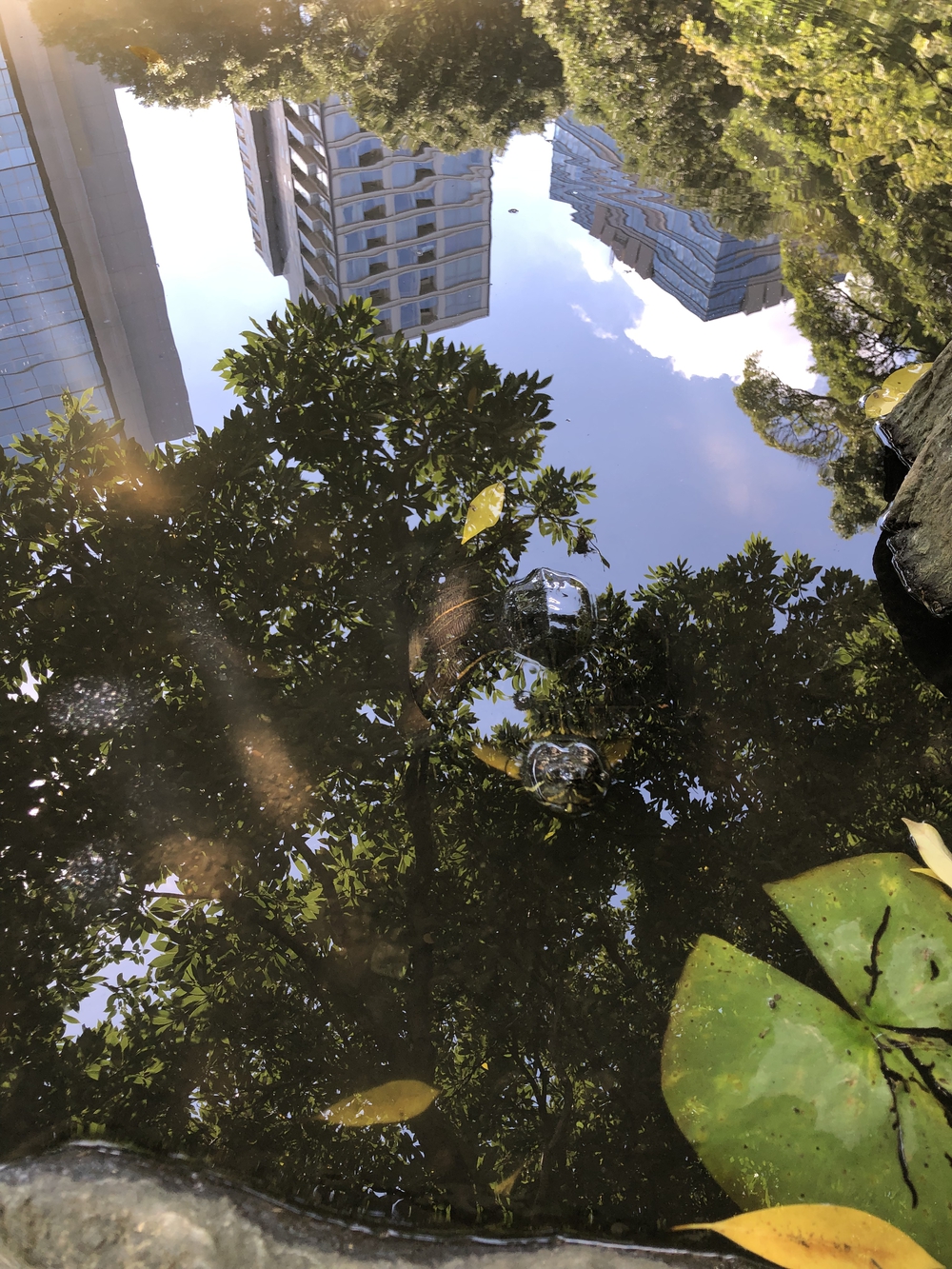 庭園巡りランの写真8