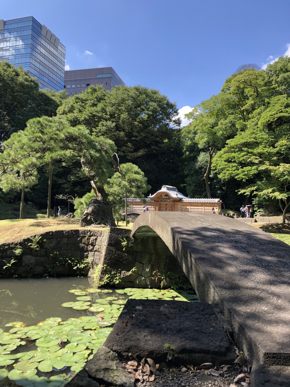 庭園巡りランの写真9