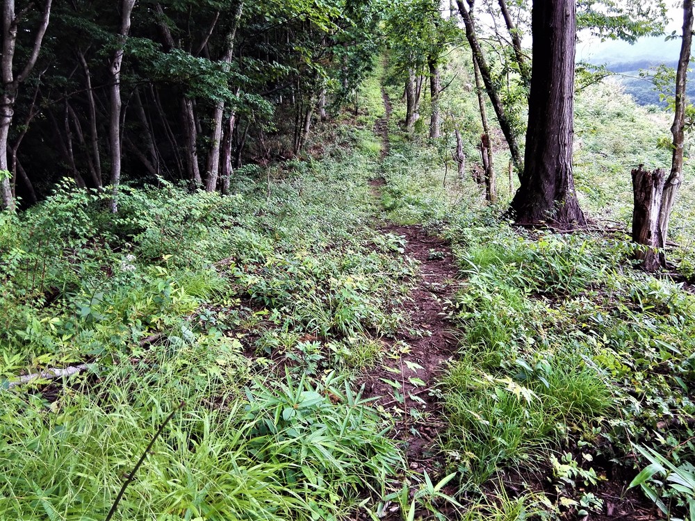 いわき市　明神山　トレイルランニングの写真3