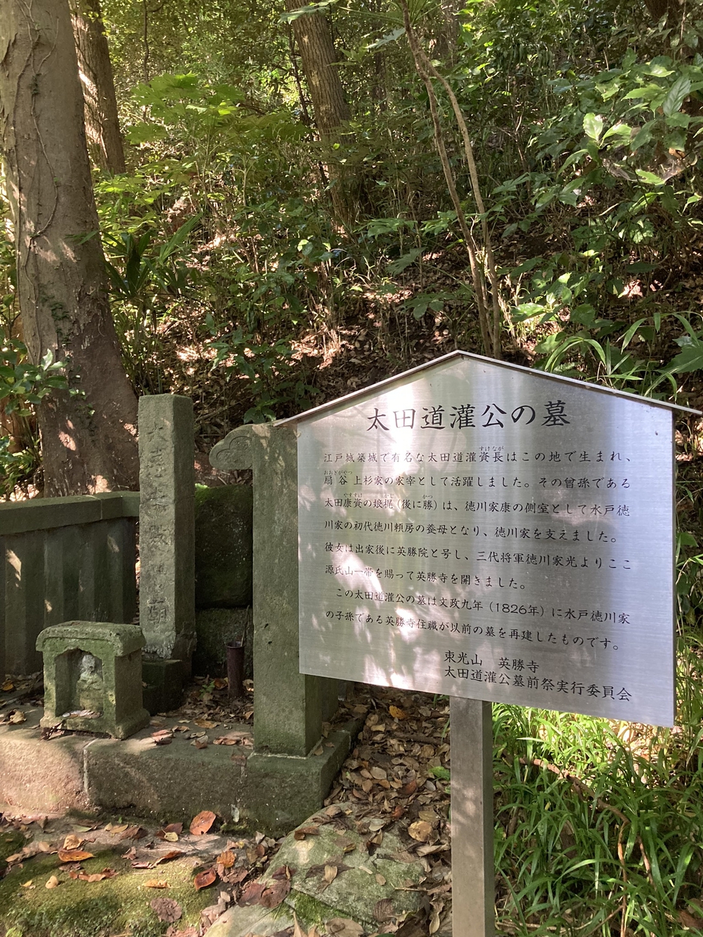 Kamakura Short Trail & Ramenの写真3