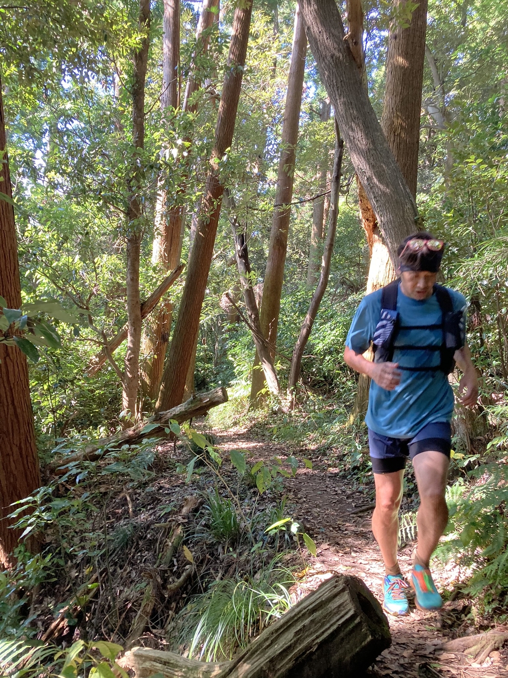 Kamakura Short Trail & Ramenの写真4